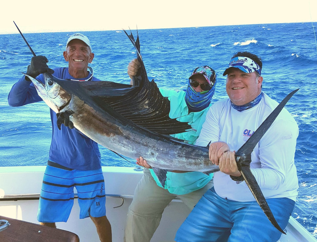 what fish can you catch in aruba        <h3 class=